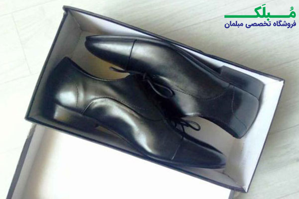 جعبه نگهداری کفش